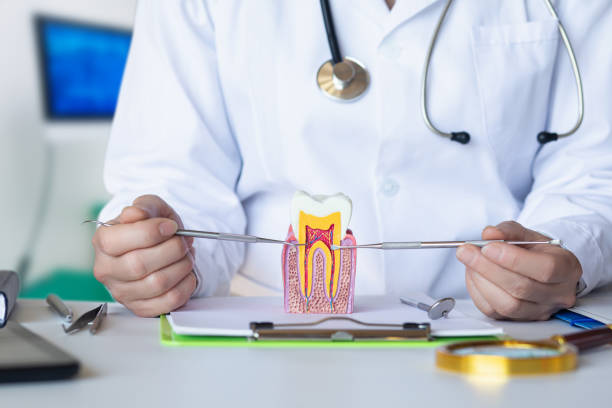 Best Cracked Tooth Emergency Dentist  in Grants Pass, OR